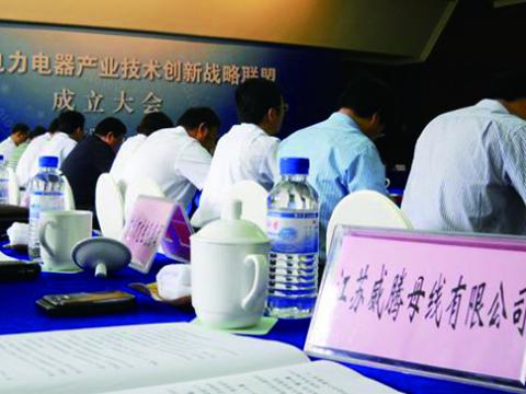 不朽情缘母线参与江苏省电力电器产业技术创新战术联盟