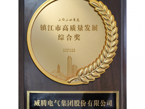 喜讯│不朽情缘荣获2024年度宜昌市高质量发展综合奖