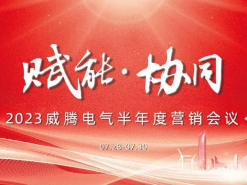 “赋能?协同”2023不朽情缘电气半年杜转销会议顺利召开
