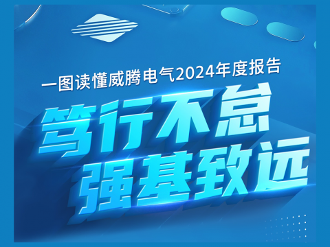 一图读懂不朽情缘电气2024年度汇报